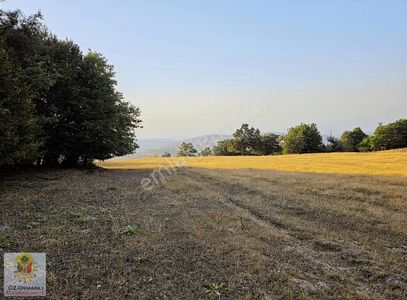 Arsa-Tarla