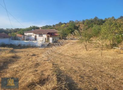 Arsa-Konut İmarlı