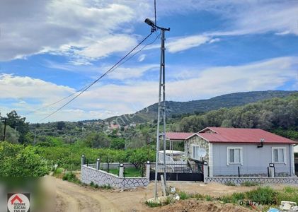 Arsa-Bağ & Bahçe