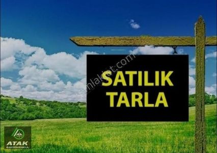 Arsa-Tarla