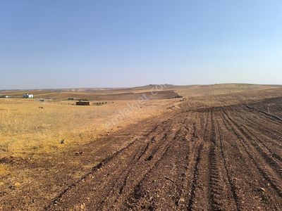 Arsa-Konut İmarlı