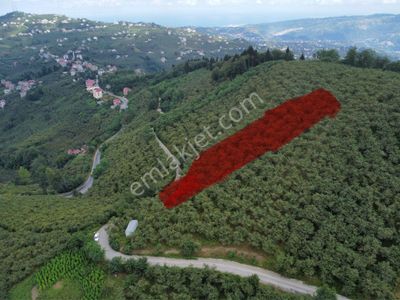 Arsa-Villa İmarlı