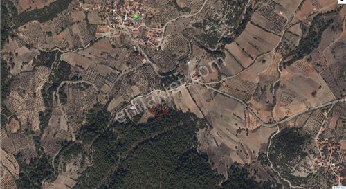 Arsa-Tarla