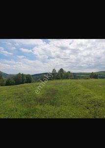 Arsa-Tarla