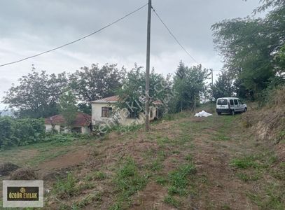 Konut-Müstakil Ev