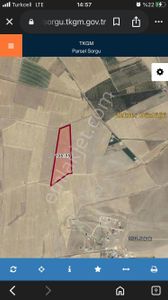 Arsa-Arazi