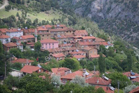 Arsa-Bağ & Bahçe