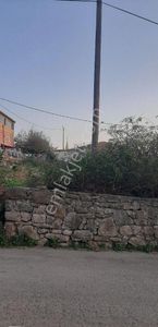 Arsa-Bağ & Bahçe