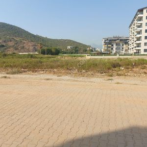 Arsa-Konut İmarlı