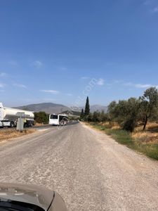 Arsa-Tarla
