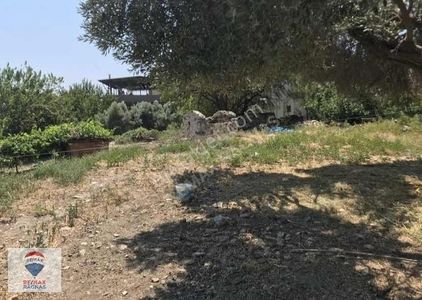 Arsa-Konut İmarlı