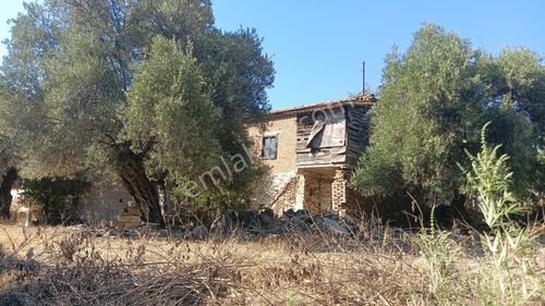 Arsa-Konut İmarlı