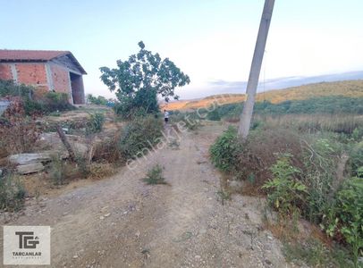 Arsa-Bağ & Bahçe