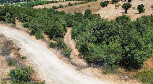 Arsa-Tarla