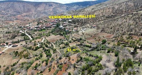 Arsa-Bağ & Bahçe