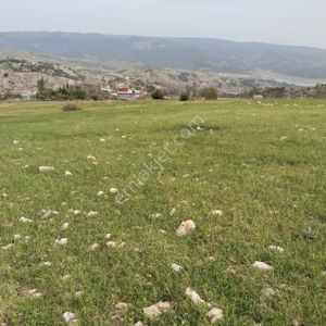 Arsa-Tarla
