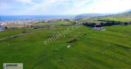 Arsa-Konut İmarlı