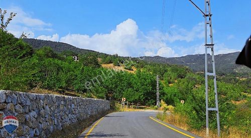 Arsa-Tarla