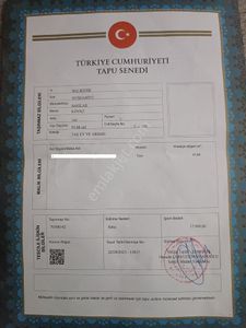 Konut-Daire