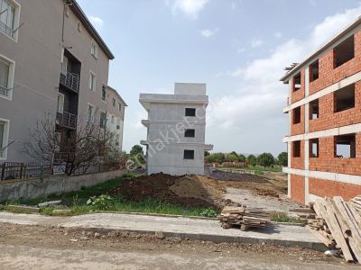 Arsa-Ada