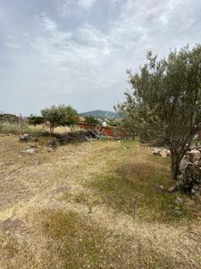 Arsa-Konut İmarlı