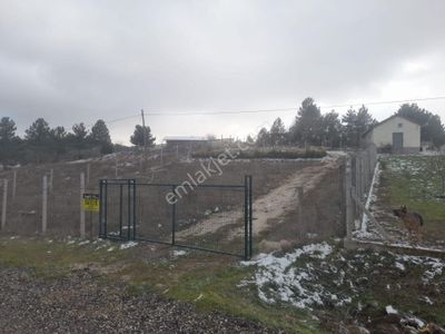 Saraycık Köyü Hobi Bahçesi