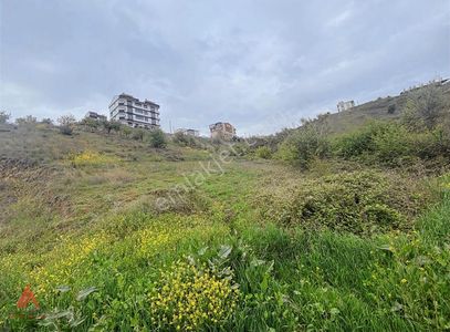 Arsa-Konut İmarlı