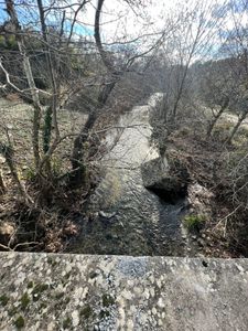 Arsa-Bağ & Bahçe