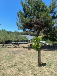 Arsa-Villa İmarlı