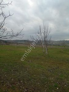 Arsa-Tarla