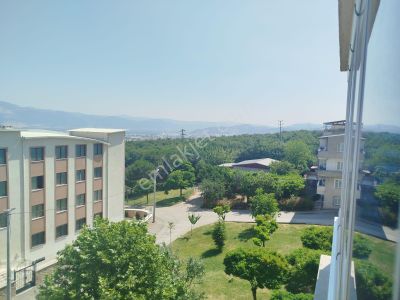 Konut-Daire