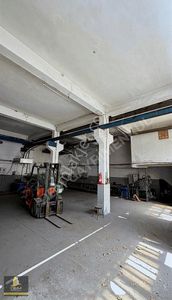 İşyeri-Dükkan & Mağaza