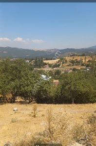 Arsa-Bağ & Bahçe