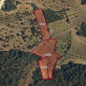 Arsa-Tarla
