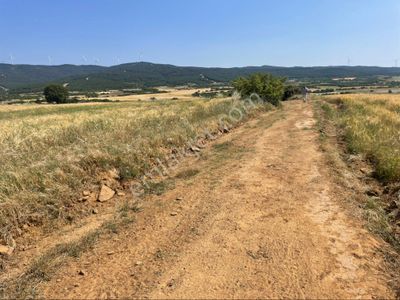 Arsa-Tarla