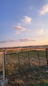Arsa-Tarla