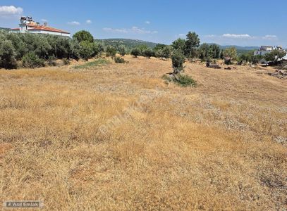 Arsa-Konut İmarlı
