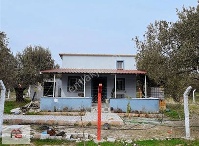 Arsa-Tarla