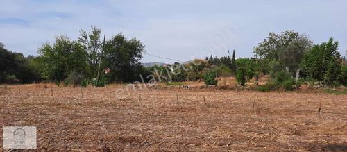 Arsa-Tarla