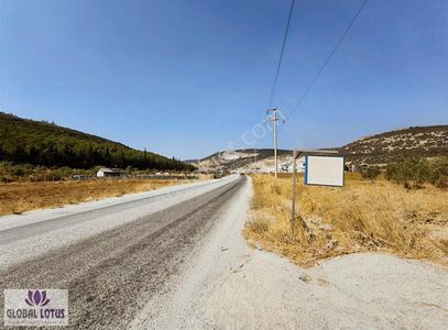 Arsa-Depo, Antrepo İzinli