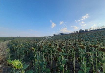 Arsa-Sanayi İmarlı