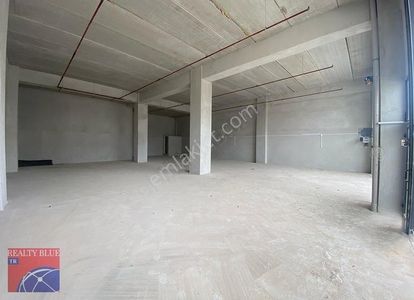 İşyeri-Dükkan & Mağaza