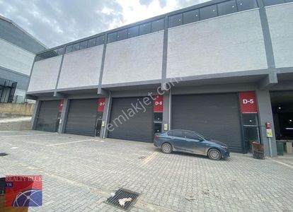 İşyeri-Dükkan & Mağaza