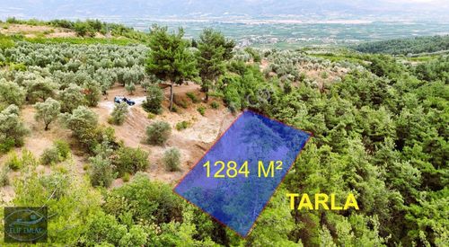 Arsa-Tarla