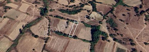 Arsa-Tarla