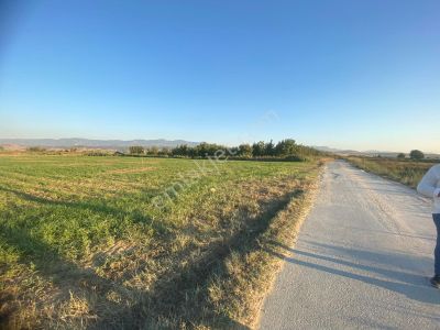 Arsa-Tarla