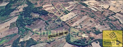 Arsa-Tarla