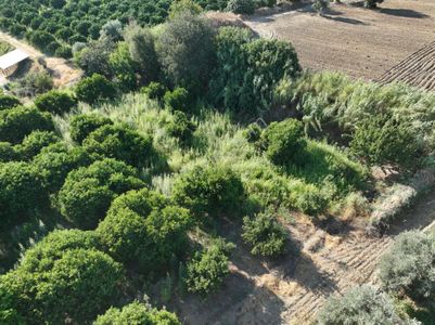 Majestic Manors - Atça İsabeyli Arasında 3.720 M² Satılık Bahçe