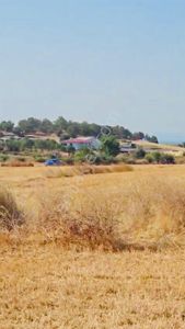 Arsa-Tarla