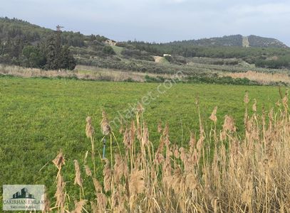 Arsa-Tarla